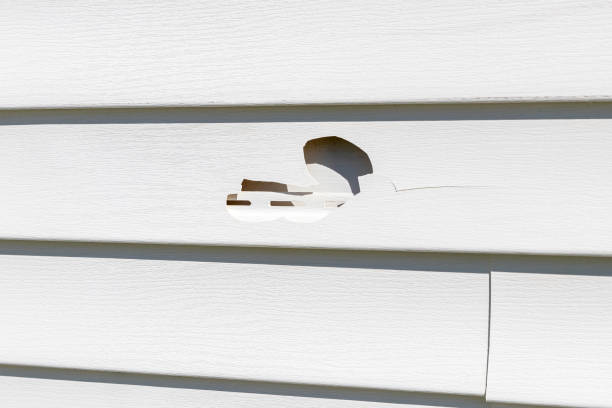 Best Garage Cleanout  in Upton, WY